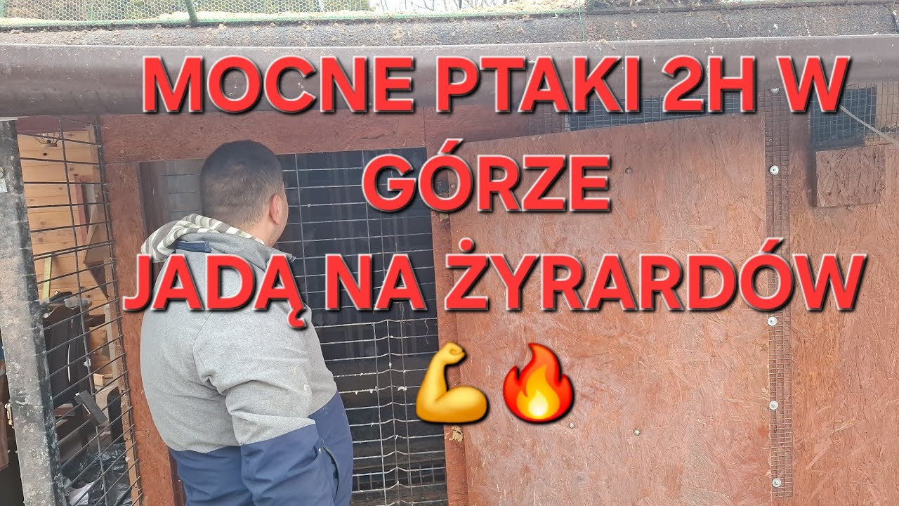 NOWY LOT JEDZIE NA ŻYRARDÓW. MOCNE PTAKI💪🔥