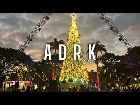 ADRK x MASHUP ( Remix 2023 JOYEUX NOEL🎅🏼 )