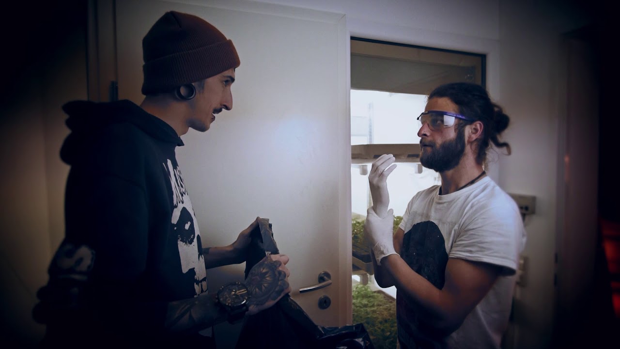 Tagebuch eines Hanfshop Betreibers: Episode 7 - Nichts zu verlieren - Hanf und CBD von Greenfield