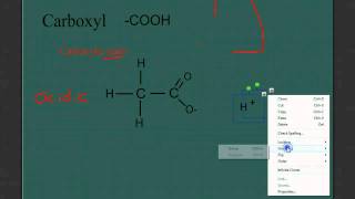 Famous Intro to Organic Molecules: Functional Groups Profile