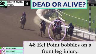 Eel Point, Missing From Santa Anita. Last Seen 5.28.21