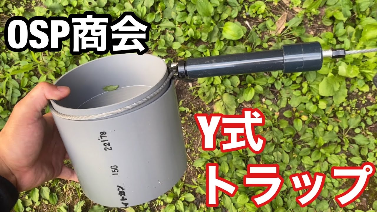 罠商会】OSP商会 Y式トラップ - YouTube