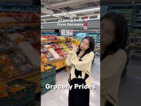 Germany vs Korea 🔥 Grocery Prices