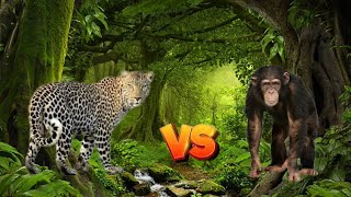 Leopard vs Chimpanzee I Animal deathmatch battles S1-SPORE-