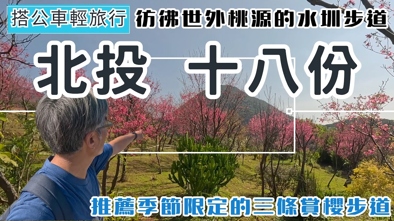 搭公車輕旅行 北投 十八份水圳賞櫻ep356『內行人才知道的賞櫻步道 | 十八挖水圳步道  | 東昇步道  | 風尾步道 | 石牌美食推薦 』