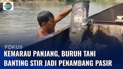 Imbas Kemarau dan Kekeringan, Buruh Tani di Grobogan Beralih Profesi jadi Penambang Pasir | Fokus