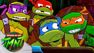 ninja brother bonding hunt scratch cat tales tmnt