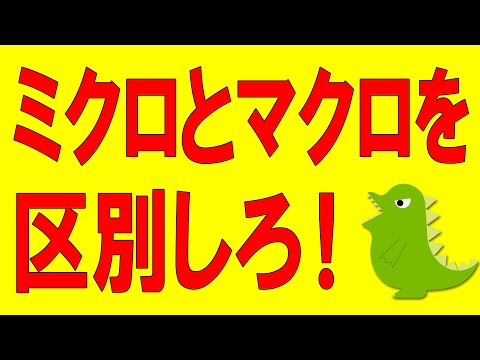 ミクロとマクロを区別しろ！（254）【経済の仕組み】MMTはクレクレ君だとか自己責任だとか言ってるやつがたまにいるんだけど　まずこの視点の違いを理解してくんろ