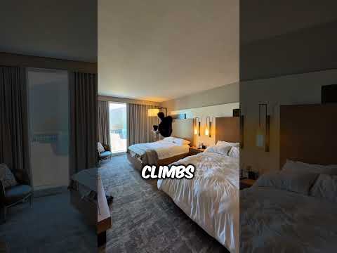 IK PACK LIVE 2 BIZARRE ROYALTY SPELERS!!