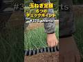 #shorts 玉ねぎ定植、6つのチェックポイント 第375話 #オーガニック栽培 #家庭菜園 #玉ねぎ