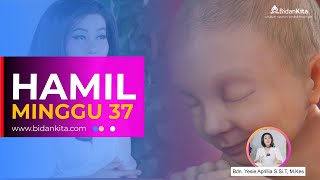 Minggu 37 - Kehamilan dari Minggu ke Minggu