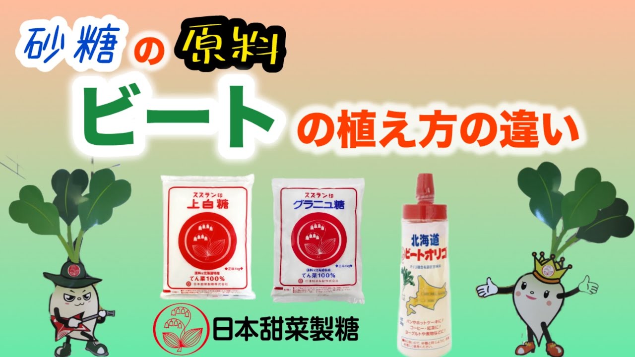 ビート】移植と直播の違いを解説！ - YouTube
