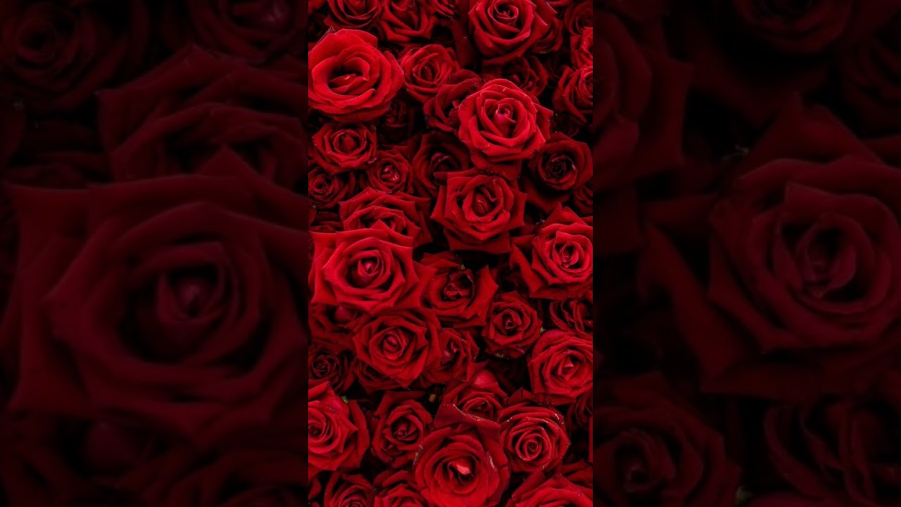 #dhadkedilyehdeewana