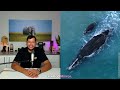 Most whale calves in 17 years, rhino zoomies & a hero’s farewell | Wins from the Wild
