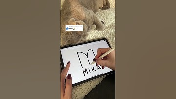 Mika | Procreate Logo Design #designprocess #adobeillustrator #procreate