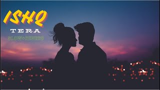 Ishq Tera Slowreverb Guru Randhawa Nushrat Bharucha Bhushan Kumar T-Series