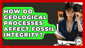 How Do Geological Processes Affect Fossil Integrity? - Anthropology Insights