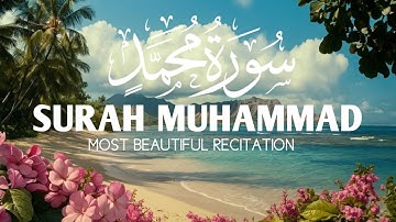 Surah Muhammad (سورة محمد) - Soothing Quran Tilawat for Inner Peace | Quran-e-Kareem Voice
