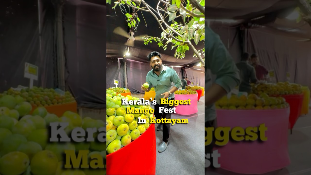 Kerala’s Biggest Mango Fest in Kottayam 🚨‼️
