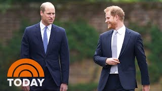Celebrity New Book Delves Into Lives Of Prince Harry And Prince William Profile