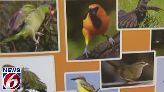Space Coast Bird and Wildlife Festival returns to Central Florida