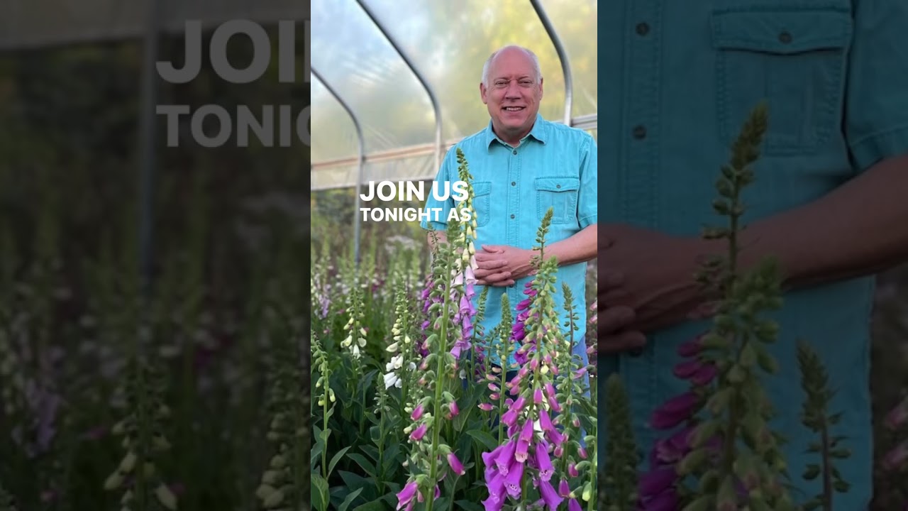 For over 2 decades @davemdowling and I have been cut flower growers, teachers, mentors, and general