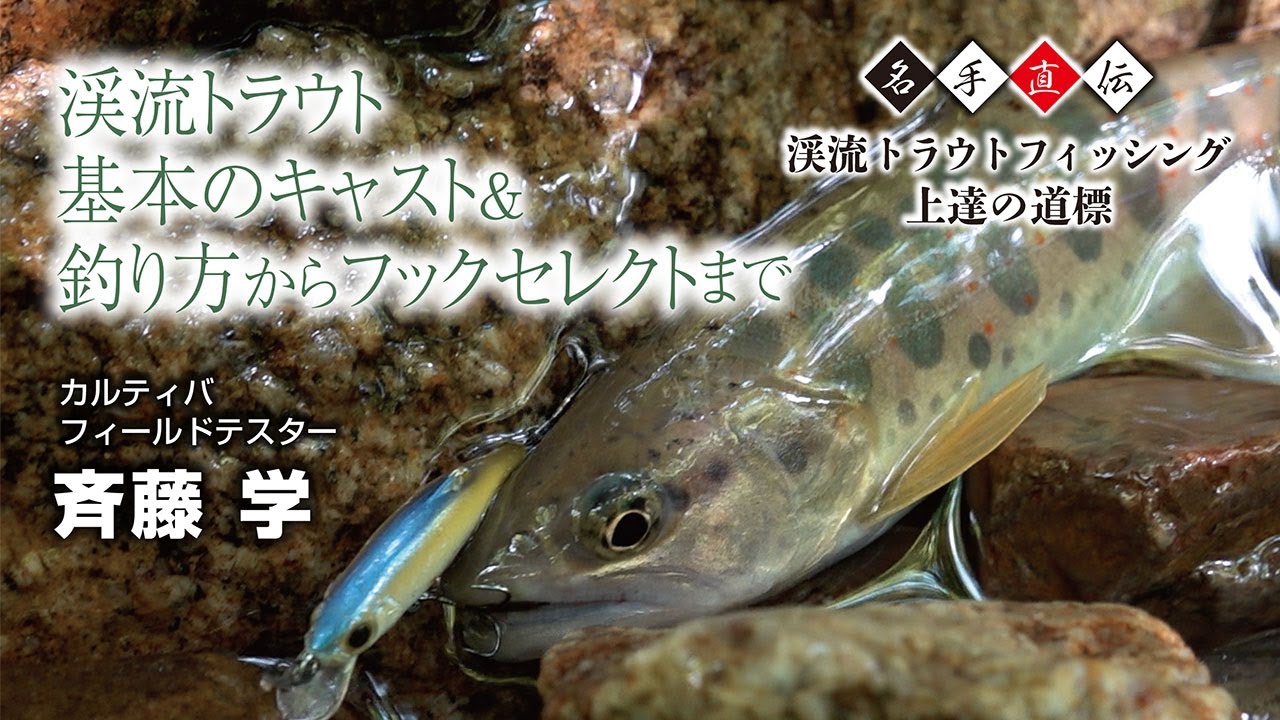 Master's Guide to Improving Your Stream Trout Fishing: From Basic