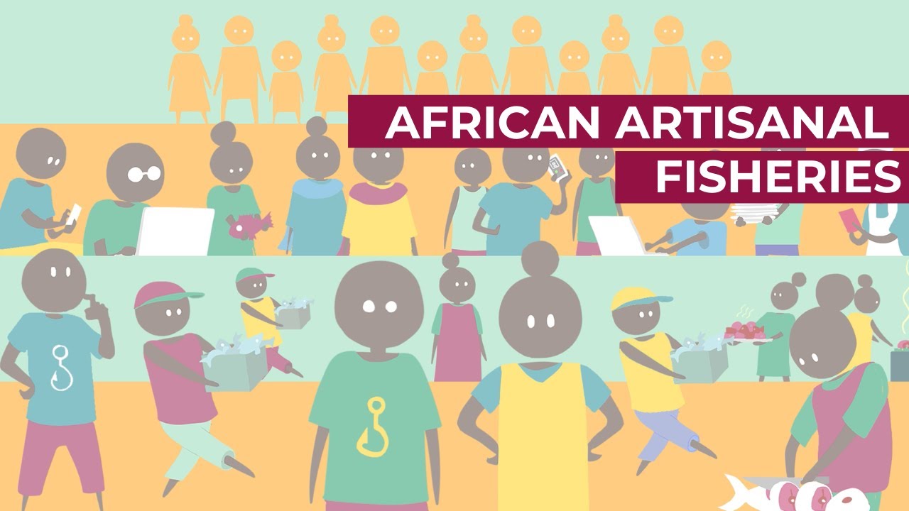 African artisanal fisheries