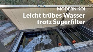 Ein gigantisch großer Bürstenfilter mit Helixbiologie | Modern Koi Blog #7337