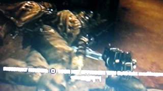 Killzone 2 Easter-Egg: Insect