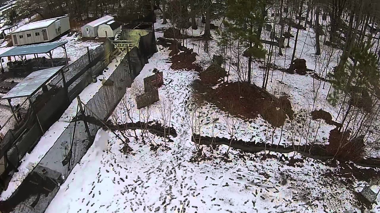 The Swamp Paint Ball Event Feb 2015