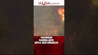 En Büyük Orman Yangınından Kaçmışlardı, Geri Dönüyorlar In Şfet