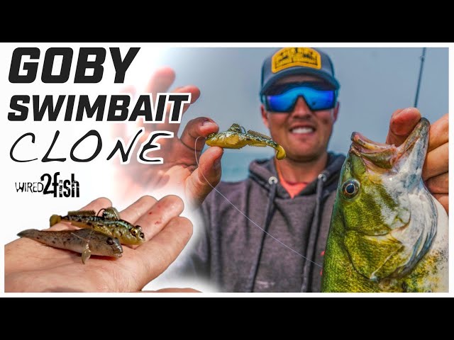 How to Fish Goby Swimbaits for Smallmouth Bass 