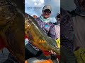 Cap'n Ron's Weirdest Catch! #fishing #fish #storytime