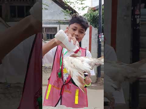 FTM SEMAKIN LANCAR DAN CEPAT