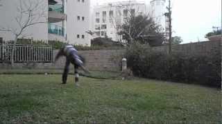 Mini Freerunning and Tricking Sampler
