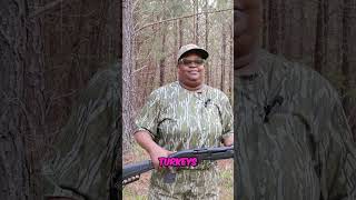 Thomasville Turkey Hunt: G-Force Arms TSS Load Test! #shorts
