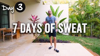 Day 3 | 7 Days of Sweat Challenge 2020 | The Body Coach screenshot 5