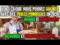Voici ce que vous pouvez gagner avec des poules pondeuses en 2026 _ Revenus et chiffres exacts.