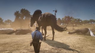 RDR2  Hunting giant horses in a ranch