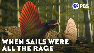 Why Were Sails So Popular 300 Million Years Ago
