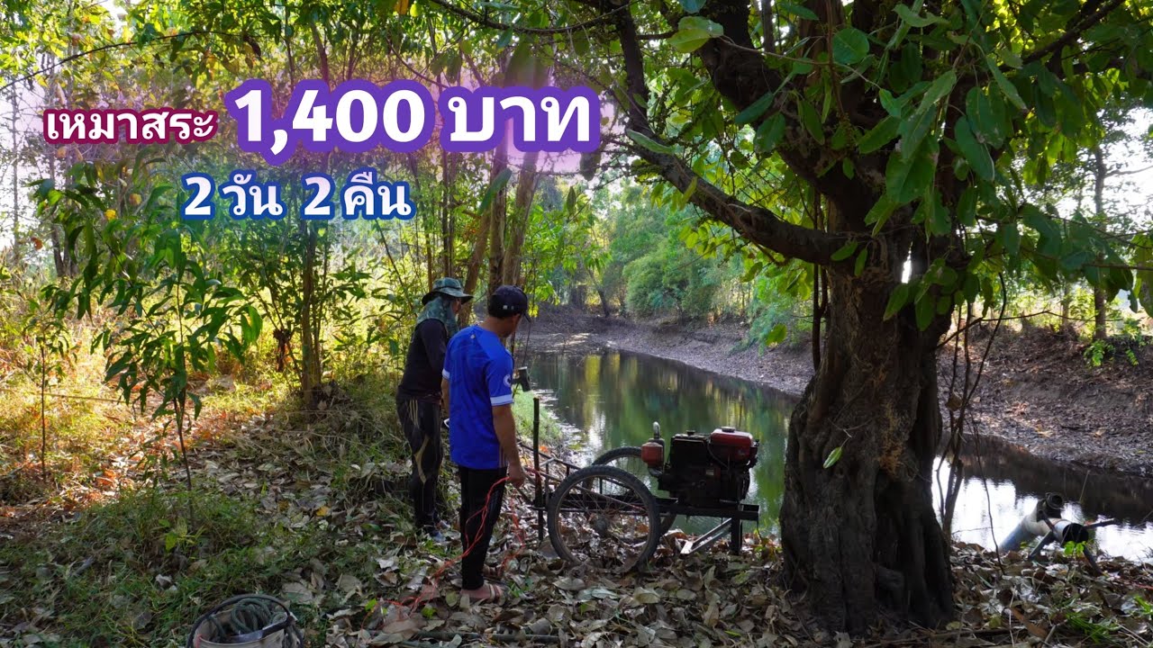 เหมาสระ 1,400 บาท 2 วัน 2 คืน สระที่เคยเหมาเป็นครั้งเเรก สระเเบบนี้ จะมีอะไรบ้าง / บ้านนอก EP.849