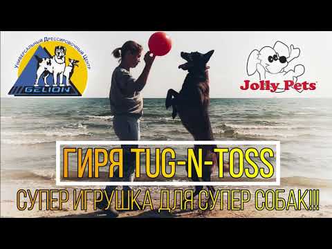 Іграшка для собак Jolly Pets TUG-N-TOSS гиря 25 см Червоний (510RD), видео 2
