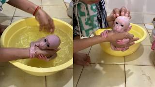 Warm Water & Cuddles Bath Time Routine For The Tiniest Monkey