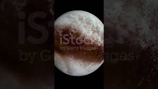 The Kuiper Belt