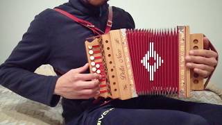 Quel Mazzolin Di Fiori - Organetto Brano Popolare