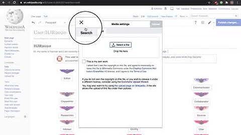How to use an image from Wikimedia Commons on Wikipedia.