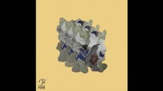 Naser Razzazi - Berzî Berzî (CHAMOS Remix)