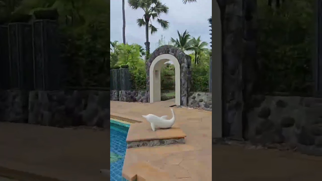 Step Into a World of True Relaxation: Your Experience in Samui