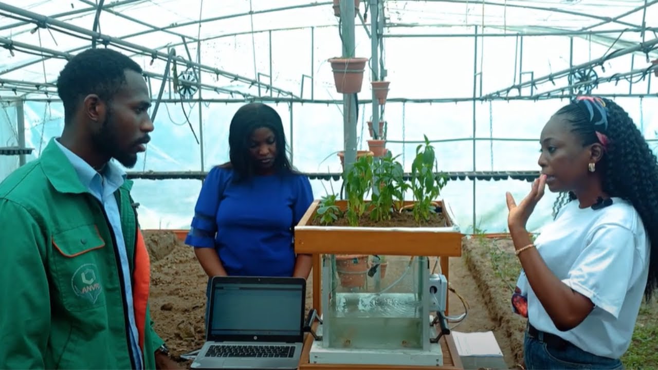 Nature & Co n°53: Aquaponie: quand les poissons nourrissent les plantes